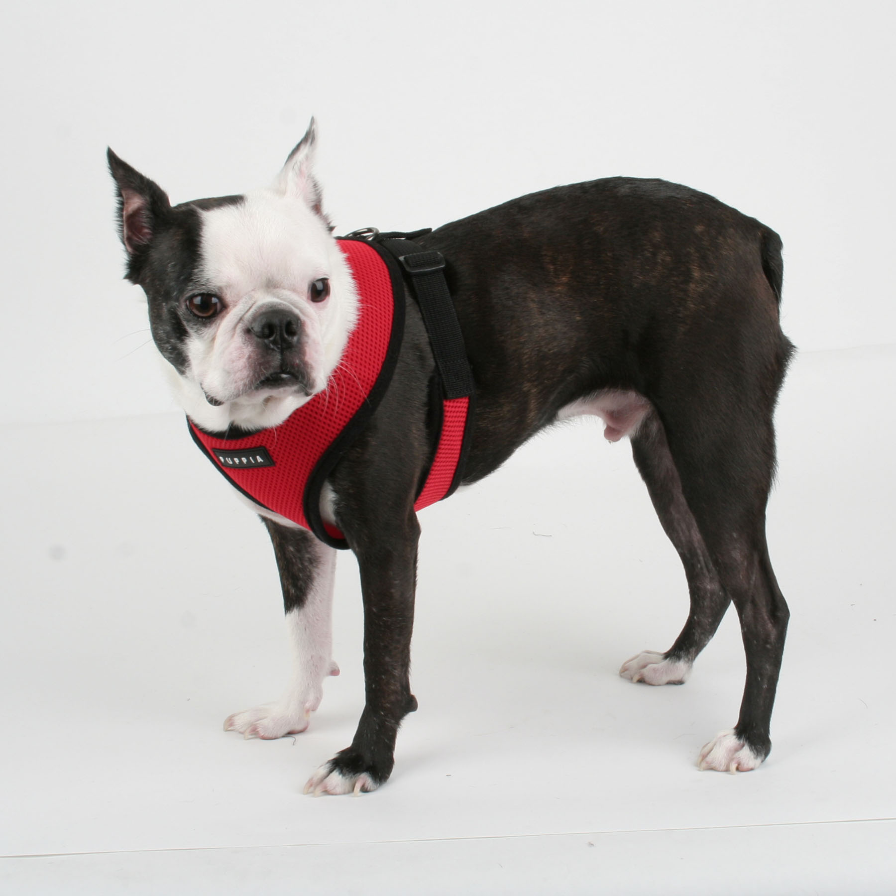 puppia red soft harness