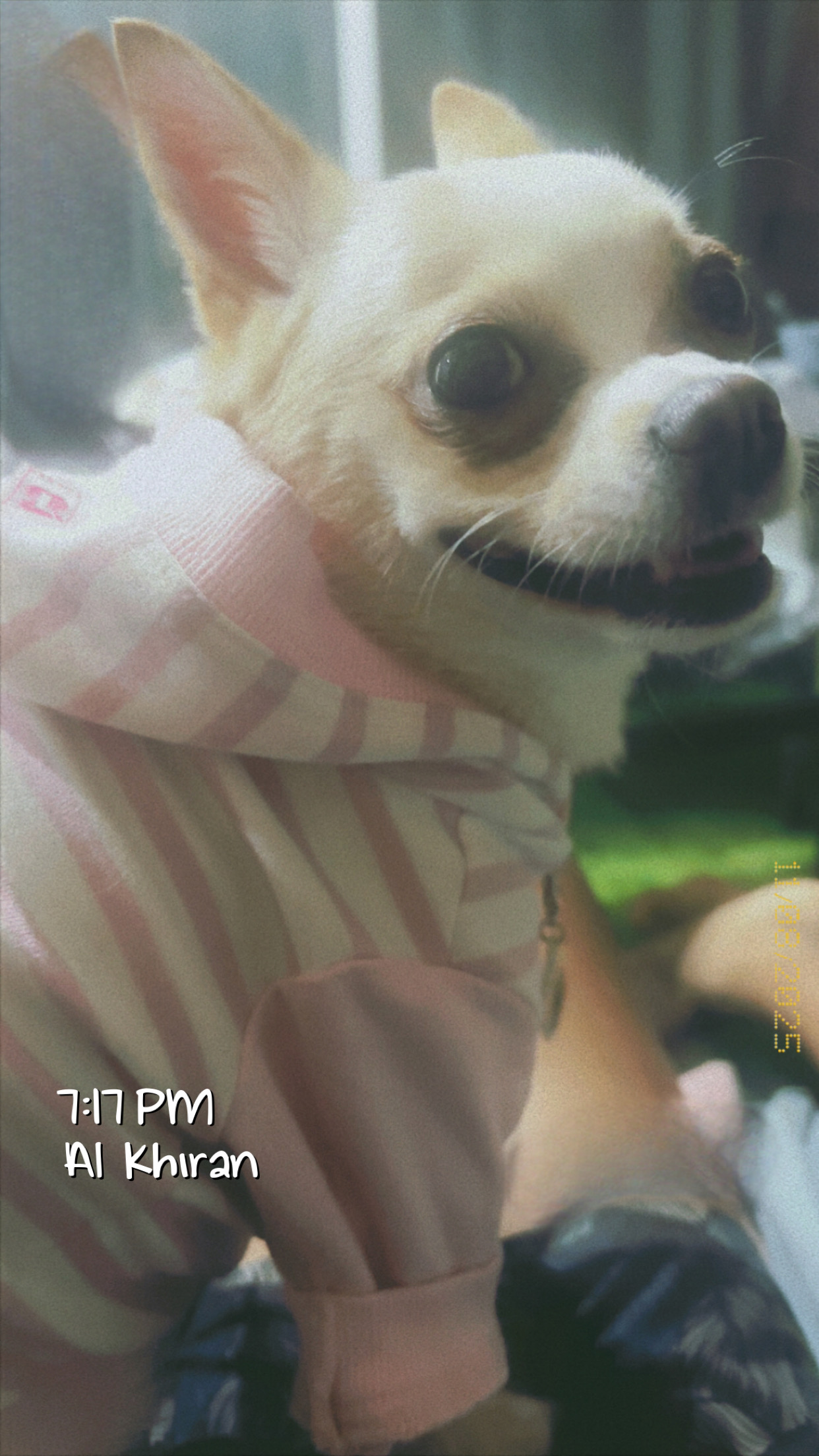 A854729